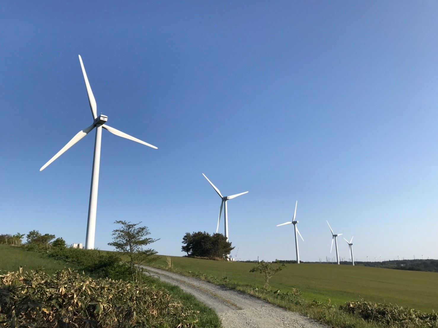 陸上風力発電