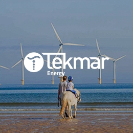 Tekmar